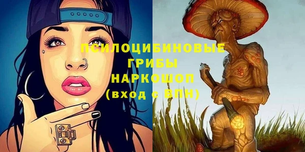 прущая мука Арсеньев
