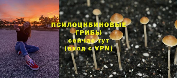 прущая мука Арсеньев