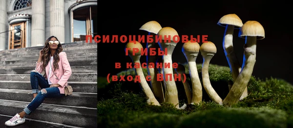 прущая мука Арсеньев