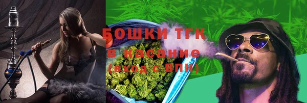 прущая мука Арсеньев