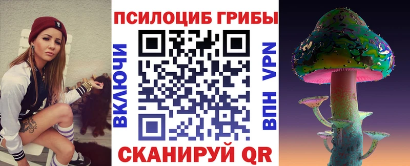 Псилоцибиновые грибы Psilocybine cubensis Кирово-Чепецк