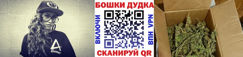 Шишки марихуана марихуана  Кирово-Чепецк 